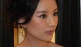 董洁娱乐爆料事件视频播放,揭秘背后真相