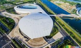 南宁体育馆新闻爆料视频,揭秘爆料视频背后的真相